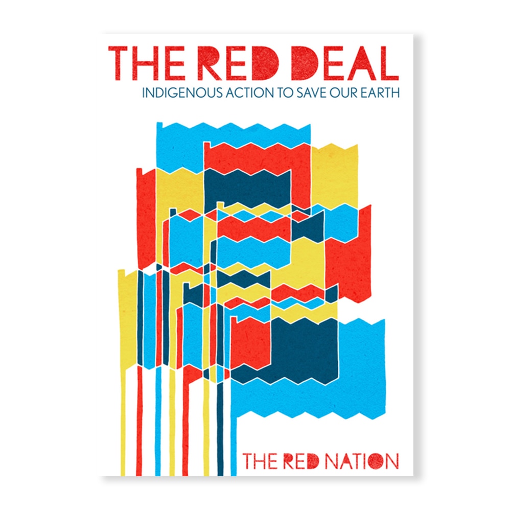 Nation, Red Deal: Indigenous Action to Save Our Earth, 9781942173434, Common Notions, 2021, Political Science, Books